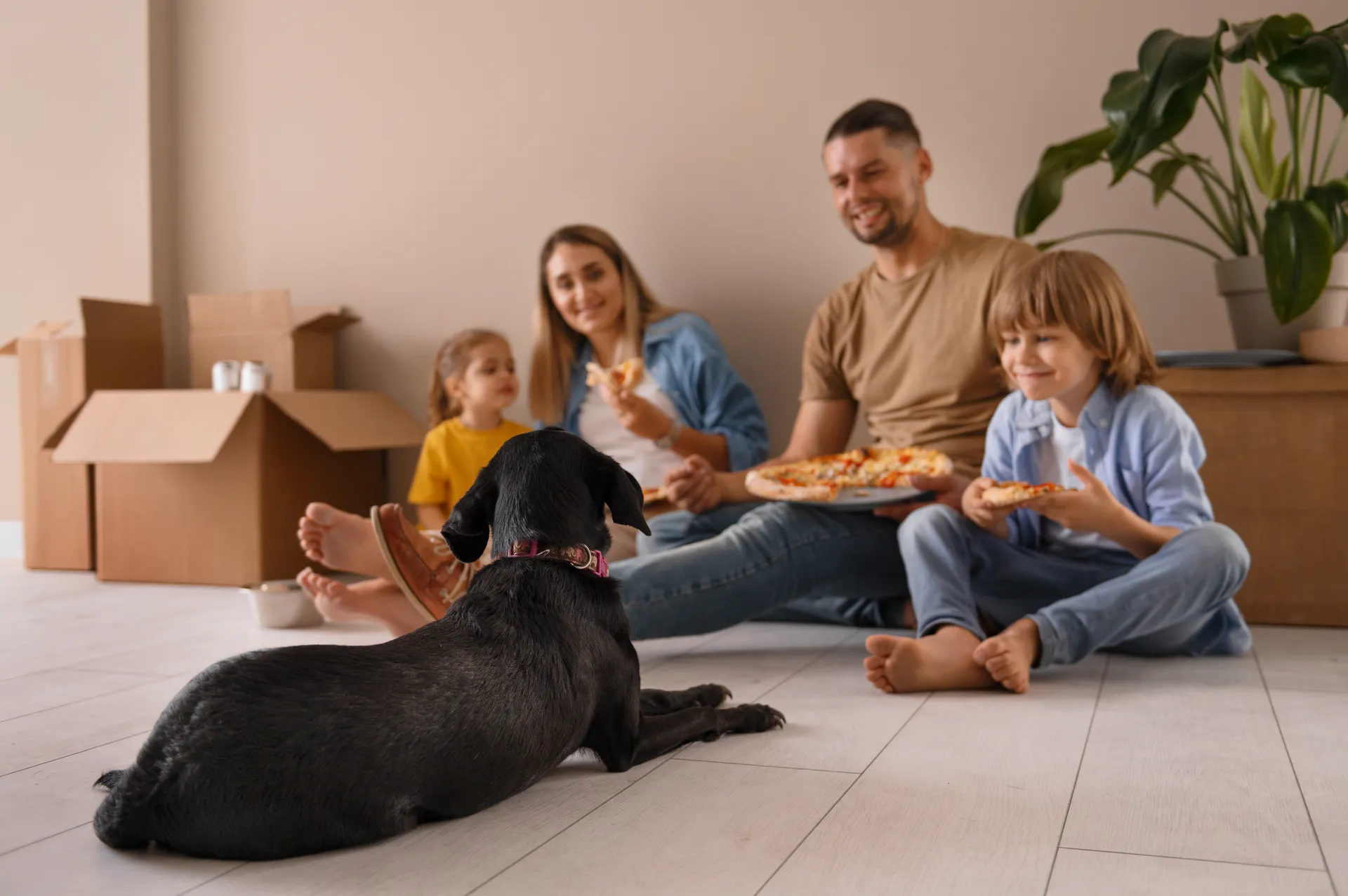Home Warranty